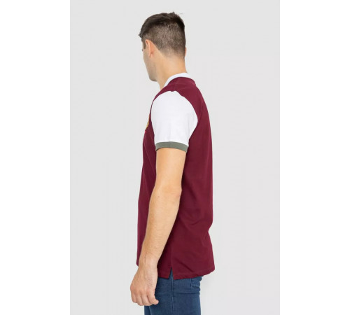 Поло мужское с принтом, цвет бордовый, 247R317