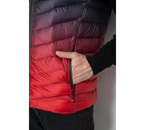 Жилетка мужская демисезонная, цвет черно-красный, 244RC888