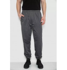 Спортивные брюки мужские, цвет темно-серый, 244R4692.