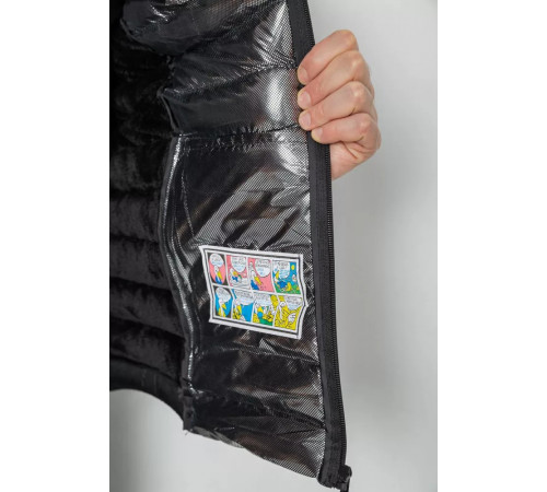 Жилетка мужская демисезонная, цвет черно-синий, 244RC999