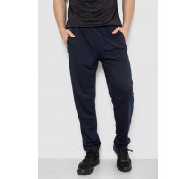 Спорт брюки мужские, цвет темно-синий, 244R401