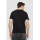 Мужская футболка с принтом, цвет черный, 241R1901