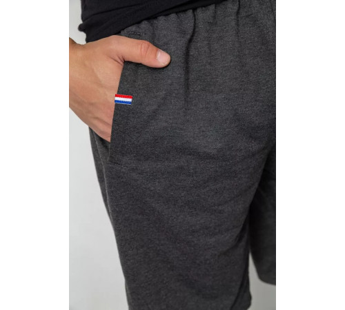 Шорты мужские, цвет темно-серый, 244R6369