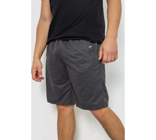 Шорты мужские, цвет темно-серый, 244R6369