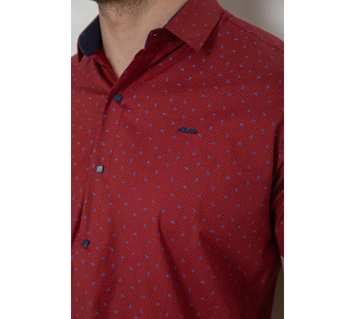 Сорочка чоловіча з принтом, колір бордовий, 214R7340-1