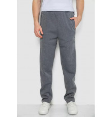 Спортивні штани чоловічі на флісі, колір сірий, 244R4934