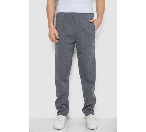Спортивні штани чоловічі на флісі, колір сірий, 244R4934