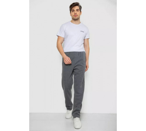 Спортивні штани чоловічі на флісі, колір сірий, 244R4934