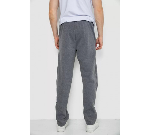 Спортивні штани чоловічі на флісі, колір сірий, 244R4934