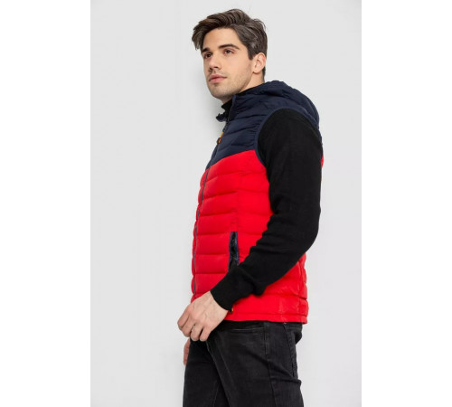 Жилетка мужская демисезонная, цвет сине-красный, 244R2323.