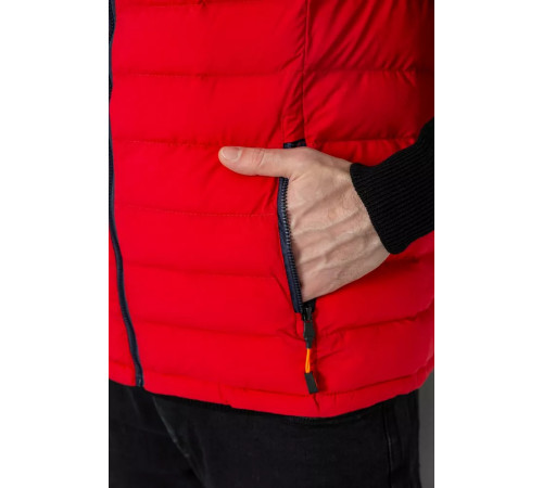 Жилетка мужская демисезонная, цвет сине-красный, 244R2323.