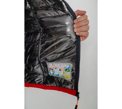 Жилетка мужская демисезонная, цвет сине-красный, 244R2323.