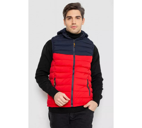 Жилетка мужская демисезонная, цвет сине-красный, 244R2323.