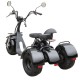 Электроскутер Maxxter TRIKE (blaсk)