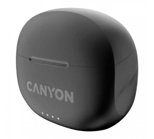 Наушники Canyon TWS-8 Black (CNS-TWS8B) Наушники Canyon TWS-8 Black (CNS-TWS8B)