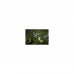 Кущоріз Ryobi RY36HTX65A-0, 36В MAX POWER, лезо 65 см, насадка HedgeSweep (без АКБ та ЗУ) (5133005076)