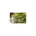 Кусторез Gardena EasyCut 420/45, 420 Вт, 45 см (09830-20.000.00)