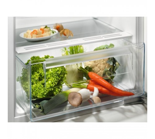 Холодильник Electrolux LFB3AE12S1 Холодильник Electrolux LFB3AE12S1