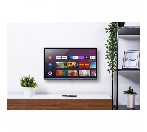 Телевизор Ergo 24GHS5500 Телевизор Ergo 24GHS5500