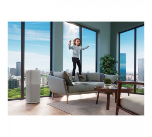 Очисник повітря Electrolux PA91-404GY