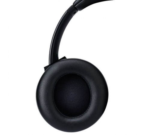 Навушники Panasonic RB-M600B Black (RB-M600BG-K) Навушники Panasonic RB-M600B Black (RB-M600BG-K)