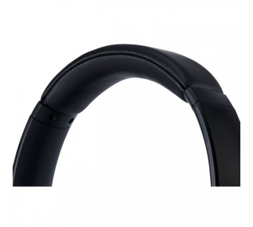 Навушники Panasonic RB-M600B Black (RB-M600BG-K) Навушники Panasonic RB-M600B Black (RB-M600BG-K)