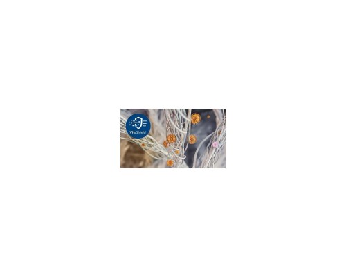 Очисник повітря Philips AC0650/10 Очисник повітря Philips AC0650/10