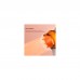 Фен Xiaomi Deerma DEM-CF50W(pink) (DEM-CF50W(pink))