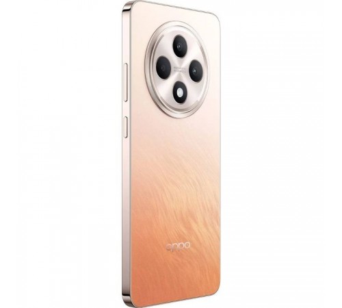 Мобильный телефон Oppo Reno12 F 4G 8/512GB Amber Orange (OFCPH2687_ ORANGE_8/512) Мобильный телефон Oppo Reno12 F 4G 8/512GB Amber Orange (OFCPH2687_ ORANGE_8/512)