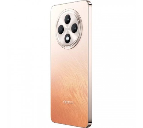 Мобильный телефон Oppo Reno12 F 4G 8/512GB Amber Orange (OFCPH2687_ ORANGE_8/512) Мобильный телефон Oppo Reno12 F 4G 8/512GB Amber Orange (OFCPH2687_ ORANGE_8/512)