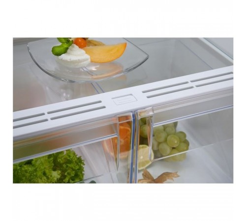 Холодильник Electrolux RNT6NE18S Холодильник Electrolux RNT6NE18S
