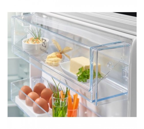 Холодильник Electrolux RNT6NE18S Холодильник Electrolux RNT6NE18S