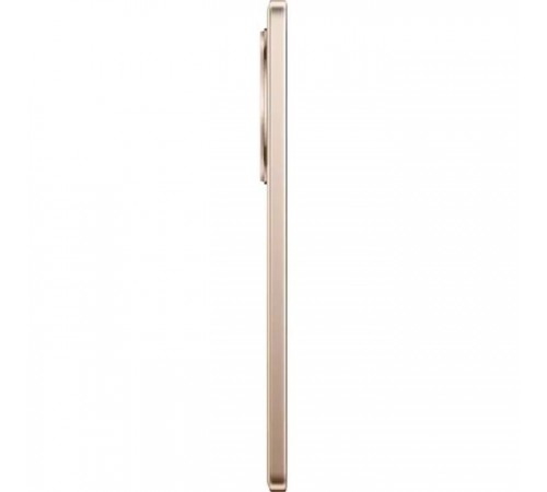 Мобильный телефон realme 13 Plus 5G 12/256GB Victory Gold Мобильный телефон realme 13 Plus 5G 12/256GB Victory Gold