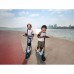 Электросамокат Segway C2 Lite, синий (AA.10.05.01.0003)