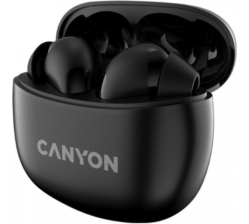 Наушники Canyon TWS-5 Black (CNS-TWS5B) Наушники Canyon TWS-5 Black (CNS-TWS5B)