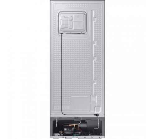 Холодильник Samsung RT42CB662012UA