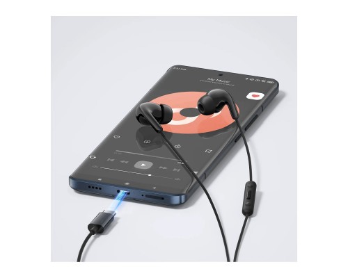 Наушники Xiaomi Type-C Earphones Black (1071791)