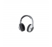 Наушники Panasonic RB-HX220BEE-S Gray (RB-HX220BEE-S)