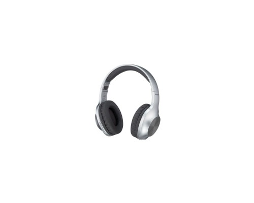 Навушники Panasonic RB-HX220BEE-S Gray (RB-HX220BEE-S) Навушники Panasonic RB-HX220BEE-S Gray (RB-HX220BEE-S)