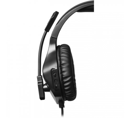 Навушники Defender Rival Black (64565) Навушники Defender Rival Black (64565)