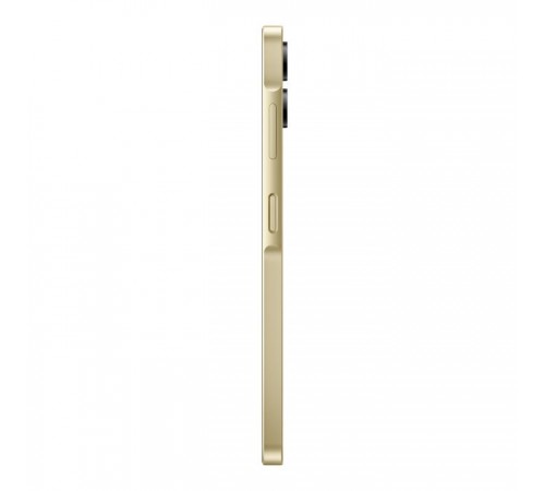 Мобильный телефон Samsung Galaxy A06 4/128Gb Gold (SM-A065FZDGSEK) Мобильный телефон Samsung Galaxy A06 4/128Gb Gold (SM-A065FZDGSEK)