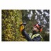 Кущоріз DeWALT 18 В, 5Ah, довжина ножа 55 см, діаметр гілок 25 мм (DCMHT563P1)