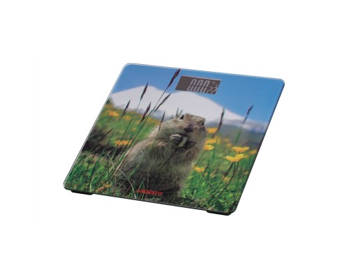 Весы напольные Ardesto SCB-965MARMOT Весы напольные Ardesto SCB-965MARMOT