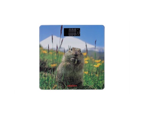Весы напольные Ardesto SCB-965MARMOT Весы напольные Ardesto SCB-965MARMOT