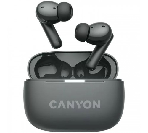 Навушники Canyon TWS-10 OnGo ANC ENC Black (CNS-TWS10BK)