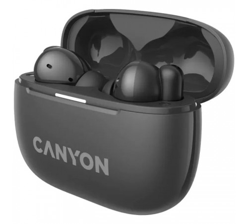 Навушники Canyon TWS-10 OnGo ANC ENC Black (CNS-TWS10BK)