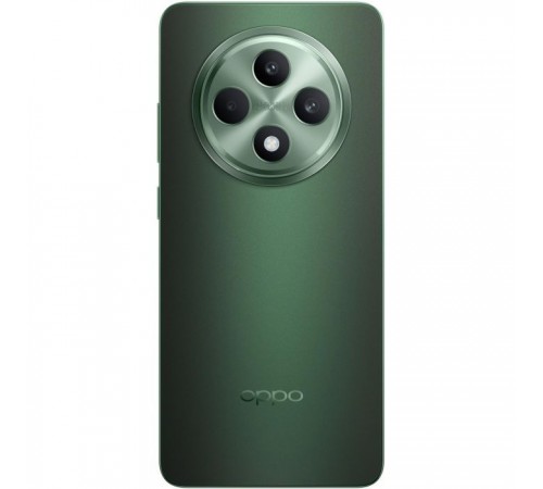 Мобільний телефон Oppo Reno12 FS 5G 12/512GB Black Green (OFCPH2637_BLACK)