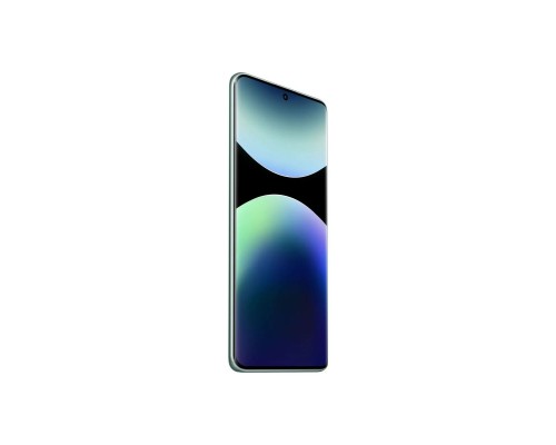 Мобильный телефон Xiaomi Redmi Note 14 Pro 5G 8/256GB Coral Green (1123277)