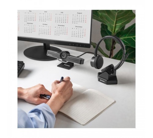 Навушники Sandberg Wireless Office Headset Pro+ Bluetooth Black (126-18) Навушники Sandberg Wireless Office Headset Pro+ Bluetooth Black (126-18)