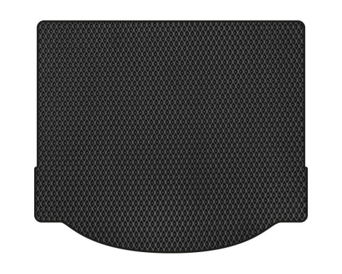 Коврик в багажник EVAtech Ford Focus (C307) 5-doors MT 2005-2010 2 по (FD32209B1RBB) Коврик в багажник EVAtech Ford Focus (C307) 5-doors MT 2005-2010 2 по (FD32209B1RBB)